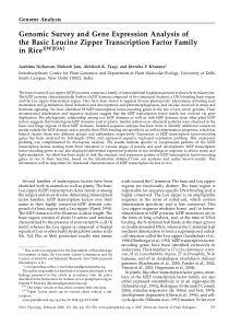 Genomic Survey and Gene Expression Analysis of