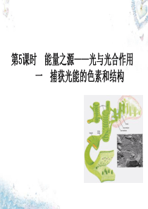 2015-2016学年高中生物 第5章 第4节 能量之源-光与光合作用(一)课件 新人教版必修1