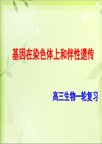 一轮复习――基因在染色体上和伴性遗传