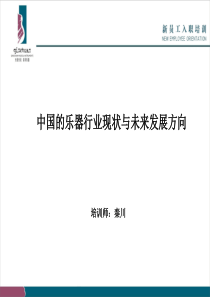 中国的乐器行业现状与未来发展方向