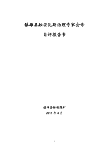 融安煤矿瓦斯治理专家会诊自评报告书