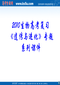 2010生物高考复习《遣传与进化》专题系列课件12《DNA的复制、基因控制蛋白质的合成》