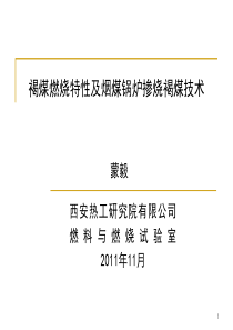 褐煤燃烧特性及烟煤锅炉掺烧褐煤技术