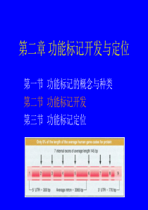 第二章 功能标记开发与定位