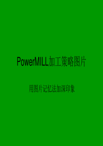 PowerMILL加工策略图片