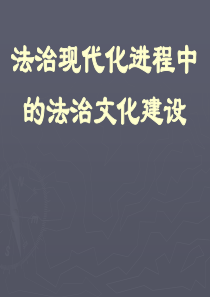 法治现代化进程中法治文化的建设