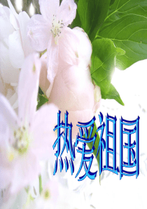 课前三分钟 热爱祖国