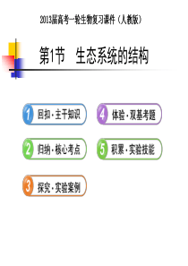 2013届高考一轮生物复习课件：第1节  生态系统的结构(人教版)