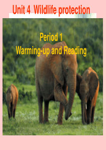 英语：Unit4《Wildlife protection》Reading课件(新人教版必修2)