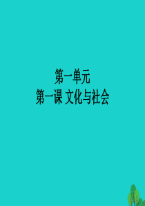 高中政治 第一课 第一框《体味文化》课件 新人教版必修31