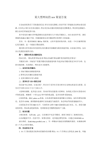 某大型网站seo策划方案