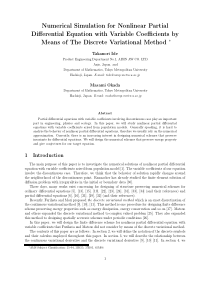 Numerical Simulation for Nonlinear Partial Differe