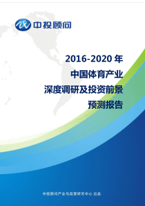 2016-2020年中国体育产业深度调研及投资前景预测报告讲解