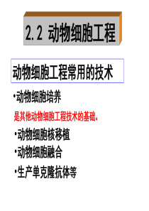 2.2.1动物细胞培养和核移植技术(最新修改版)