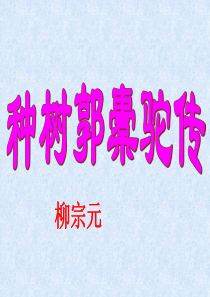 《种树郭橐驼传》(公开课)PPT