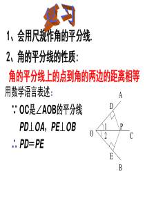 12.3角平分线的性质与判定练习题报告