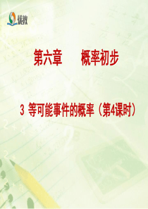 等可能事件的概率4