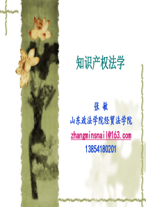 知识产权总论