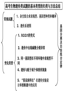 高考生物遗传类试题的归类与方法总结(45张PPT) - 副本