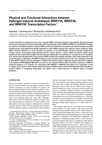 Physical and Functional Interactions between Patho