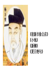 11晓出净慈寺送林子方ppt