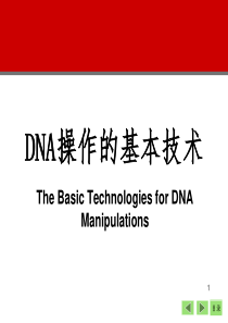 DNA操作的基本技术