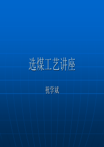 选煤工艺（PPT50页)