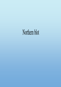 northern boltting