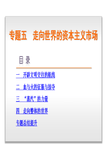 2015-2016新高考人民版历史课件 必修二 专题五 走向世界的资本主义市场.ppt