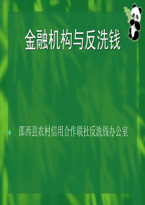 邵西县农村信用合作联社反洗钱培训资料