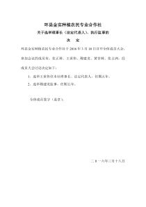 选举理事长、执行监事的决定