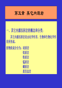 第五章 其他内源岩-1