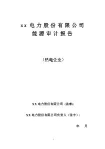 热电企业能源审计报告参考范本