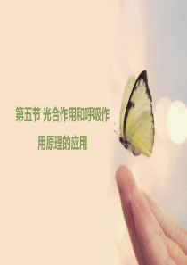 《光合作用和呼吸作用原理的应用》优教课件