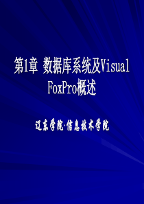 辽宁省专生本公共课考试计算机之第一章  数据库系统及Visual FoxPro概述