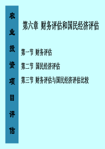 第六章  财务评估与国民经济评估