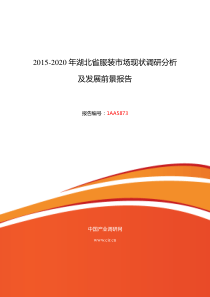 湖北省服装研究分析及发展趋势预测