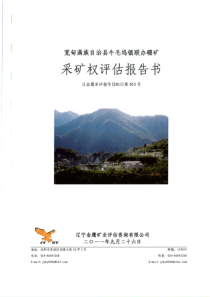 采矿权评估案例——辽宁省宽甸满族自治县牛毛坞镇联办硼矿采矿权评估