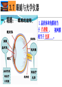 83.7眼睛与光学仪器