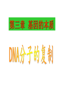 DNA分子的复制