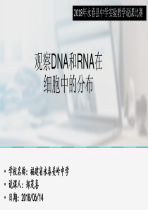 DNA和RNA在细胞中的分布-说课