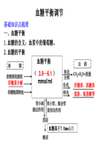 2016血糖调节