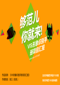 VIS项目汇报PPT