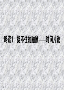 中国现代诗歌散文欣赏：7.2《捉不住的鼬鼠――时间片论》ppt课件