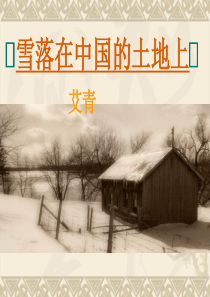 72《雪落在中国的土地上》课件