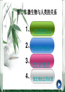 第二节 微生物与人类的关系