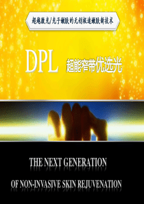 DPL技术专业介绍