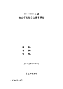 青川公司矿山安全标准化自评报告