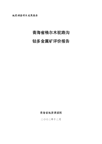 青海省格尔木驼路沟钴多金属矿评价报告