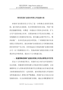 青海西部矿业股份有限公司组建方案